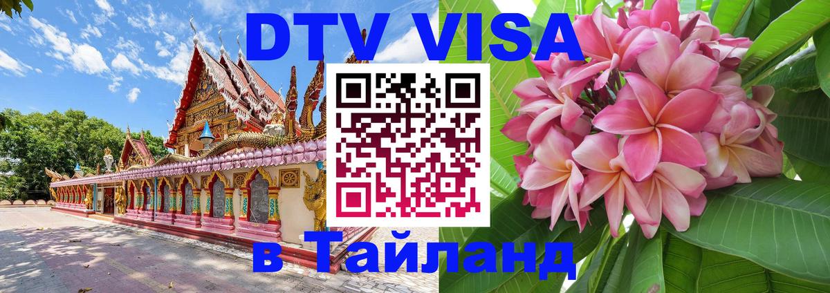 Оформление DTV визы под ключ: стоимость и тарифы, только загранпаспорт - 